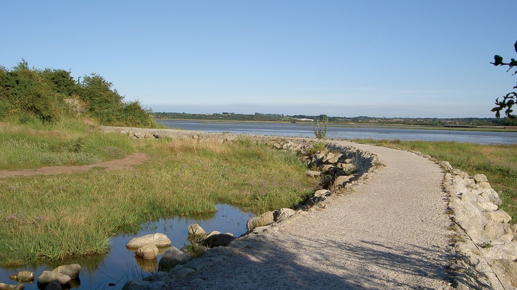River path.jpg