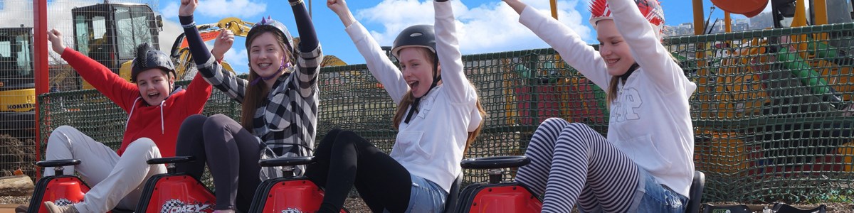 armsinaircrazycarts - touched up.jpg