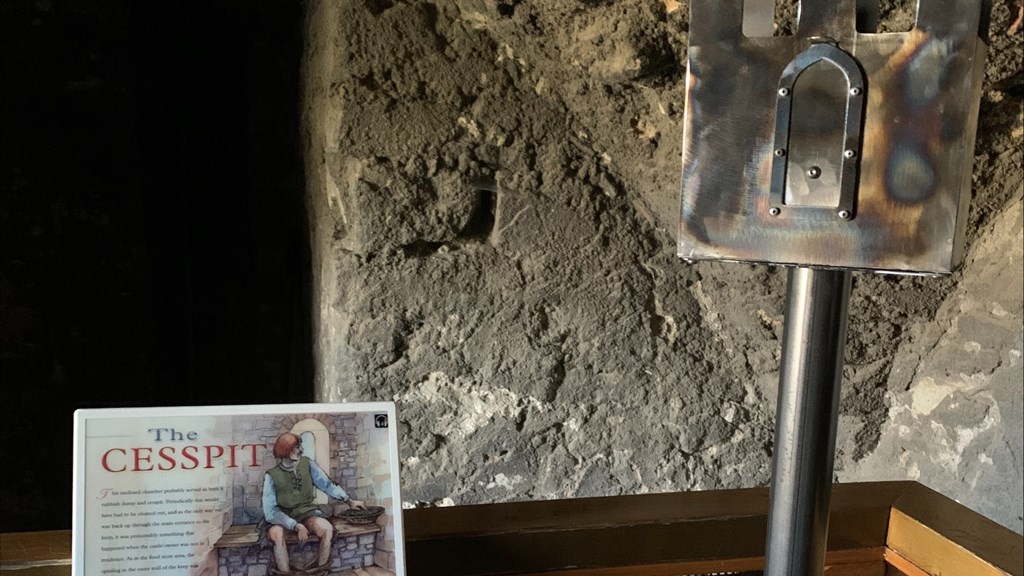 Untitled Design 2024 06 20T102126.651