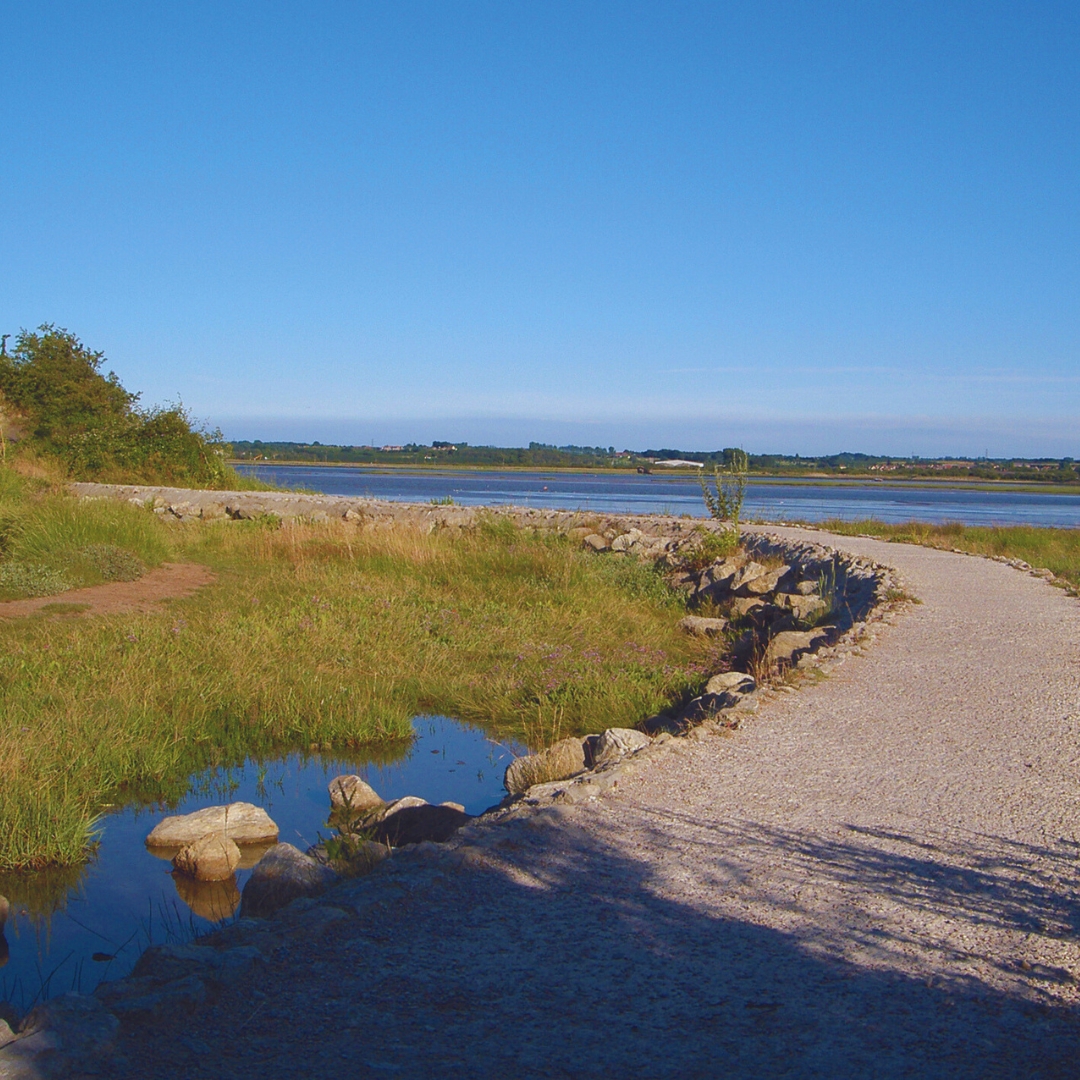 Untitled Design 2024 07 17T120558.774