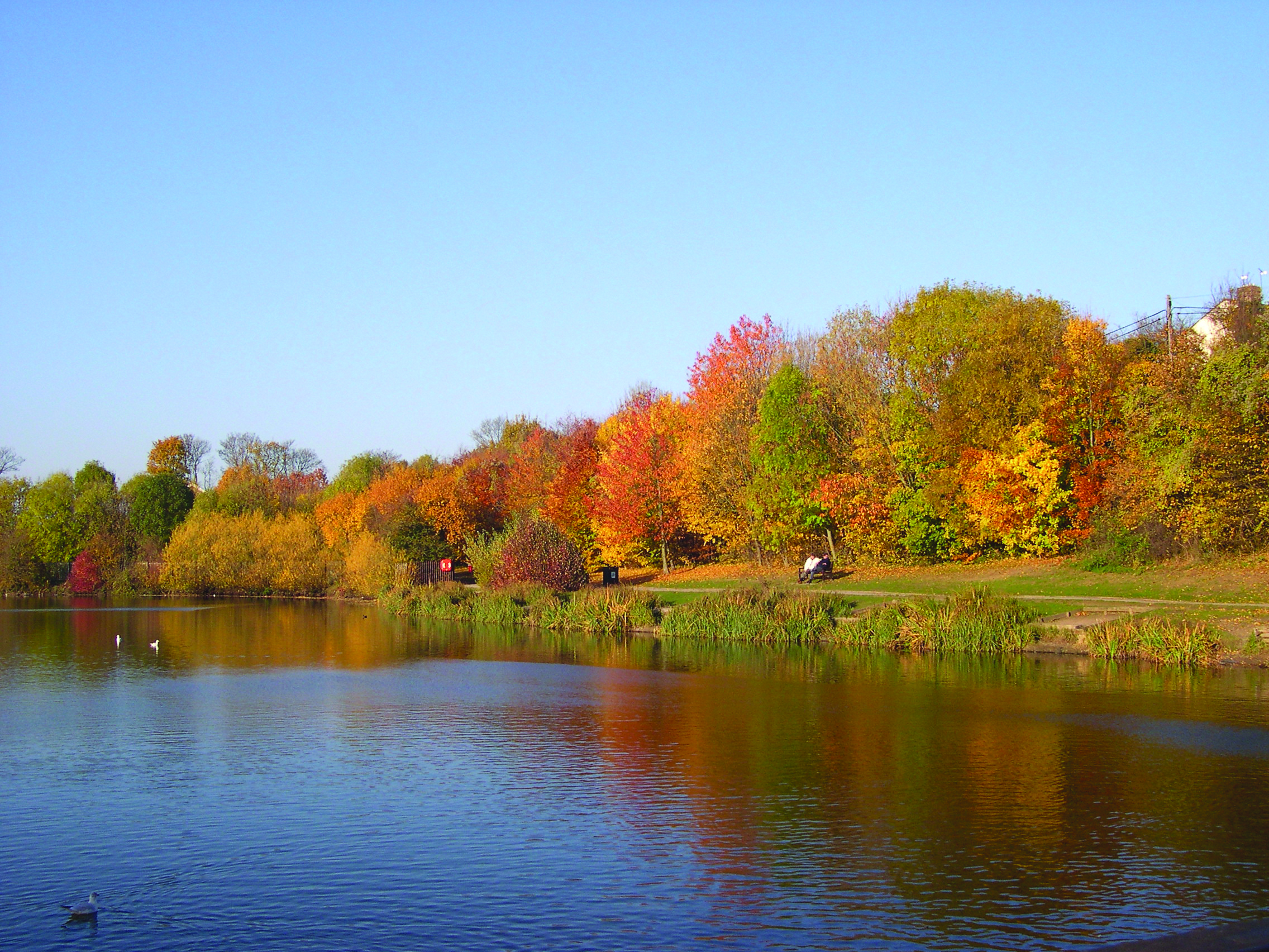 Autumn Lake