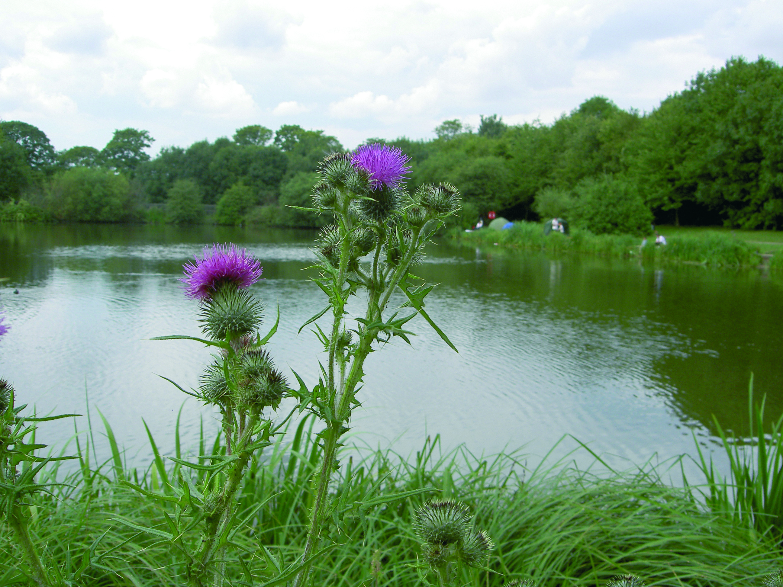 Capstone Lake