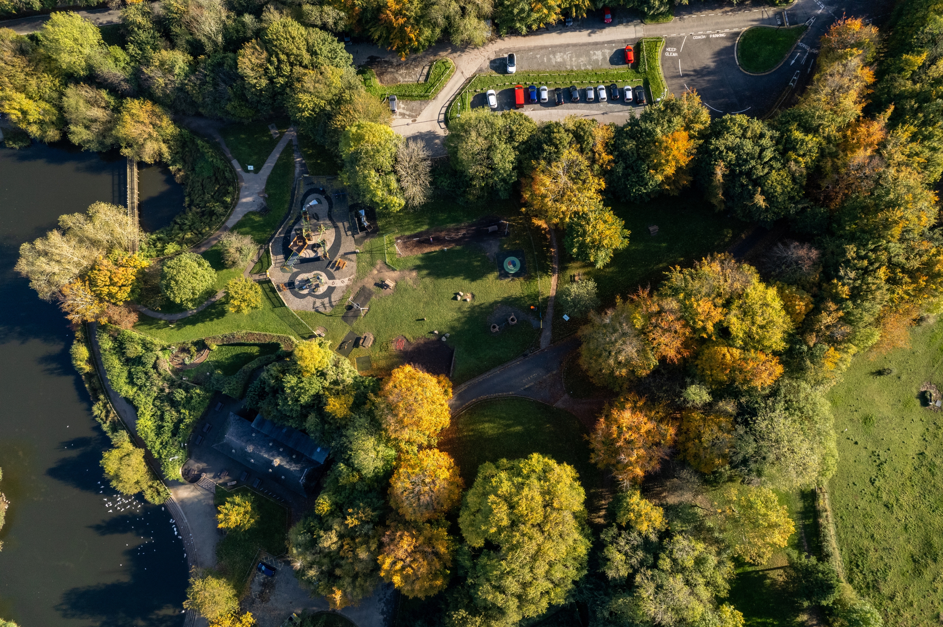 Untitled Design 2024 07 23T101855.970