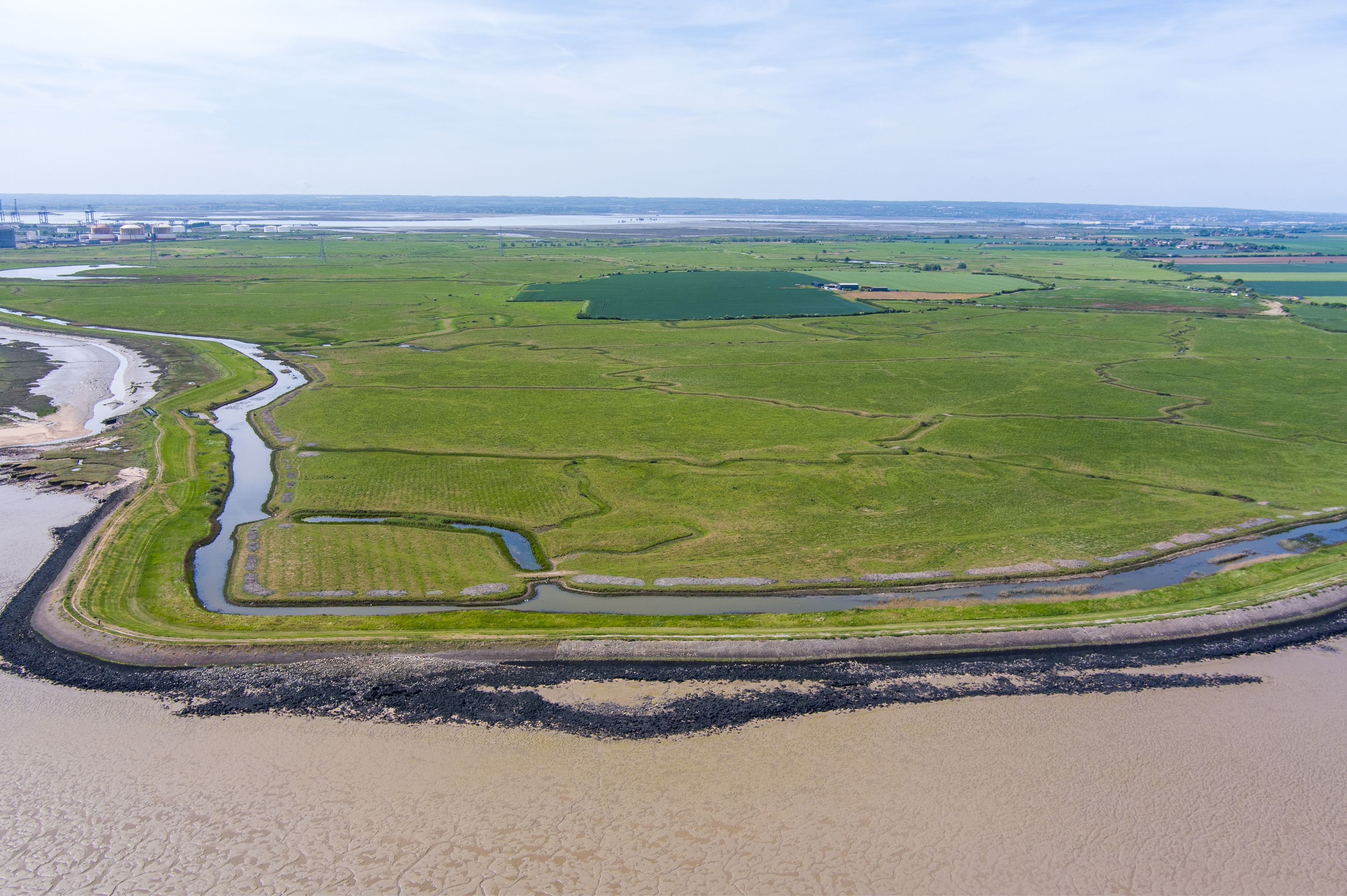 Untitled Design 2024 07 23T102649.778