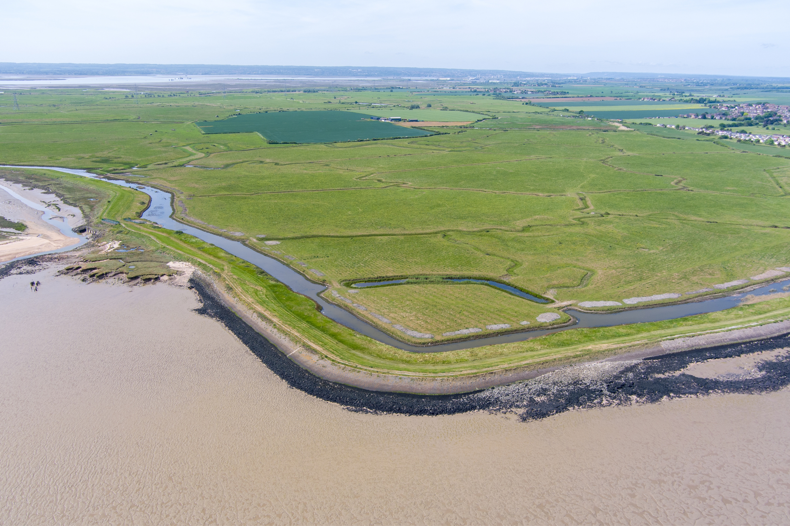 Untitled Design 2024 07 23T102635.384