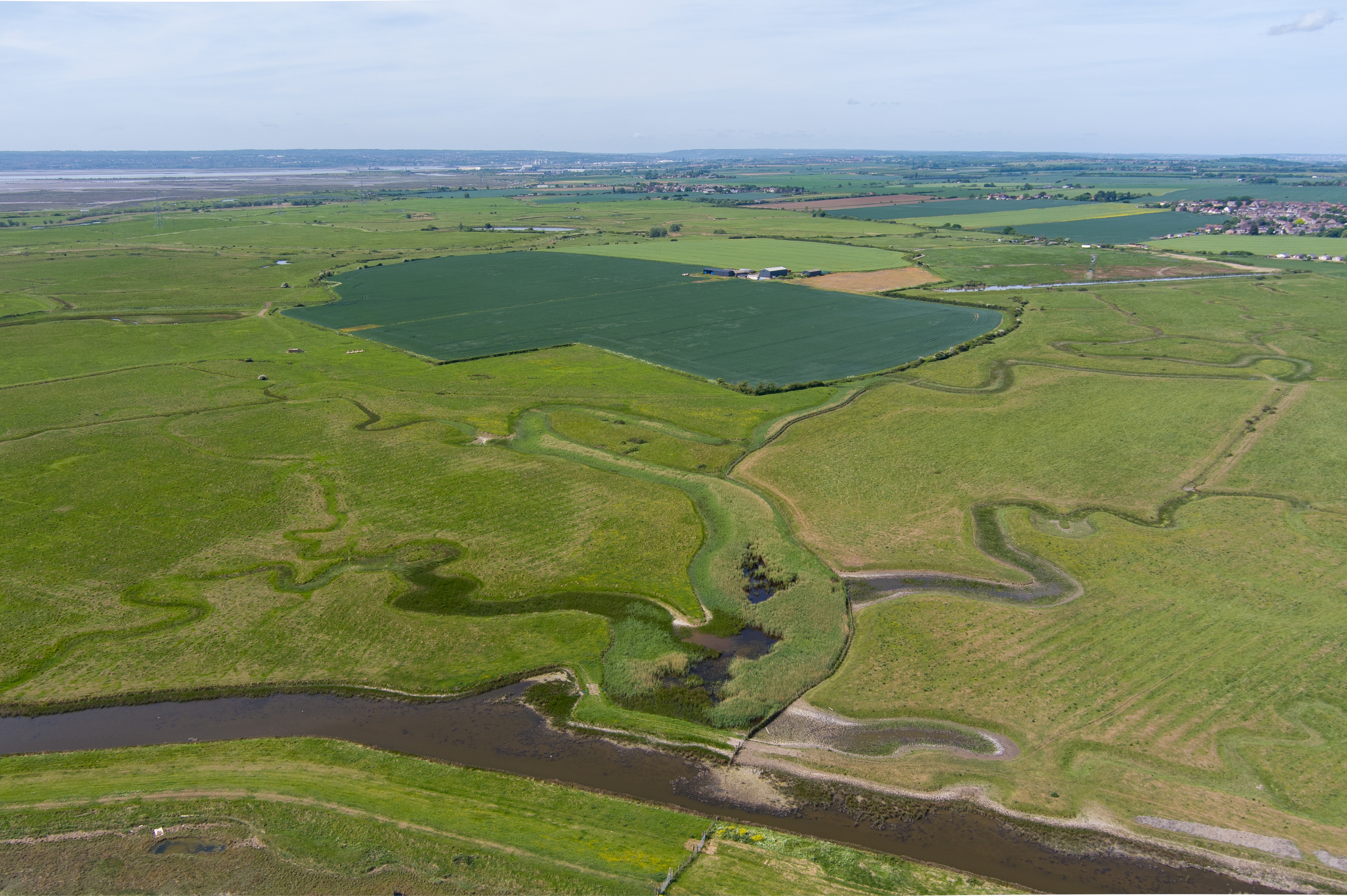 Untitled Design 2024 07 23T102620.044