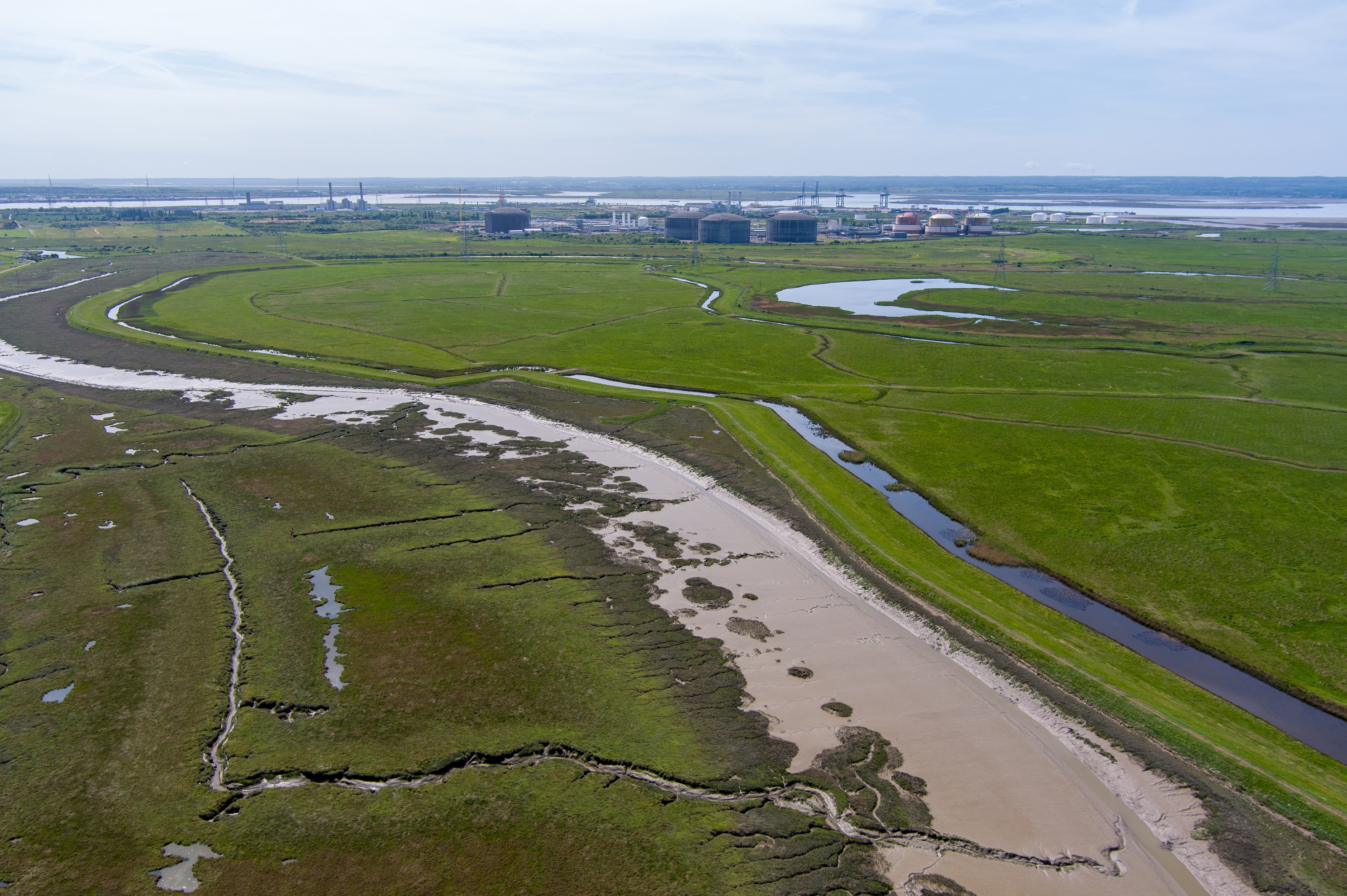 Untitled Design 2024 07 23T102604.826