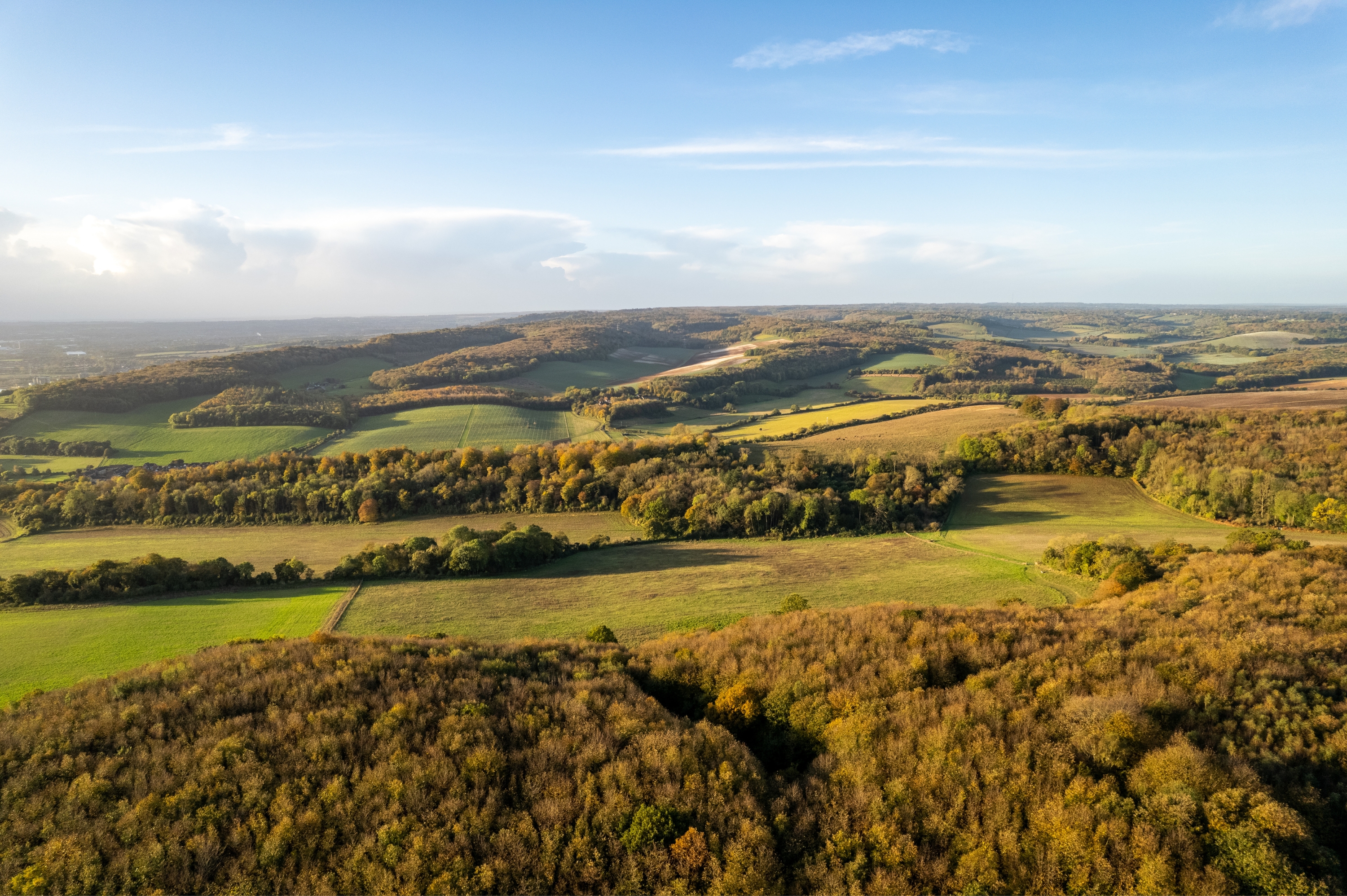 Untitled Design 2024 07 23T103636.967