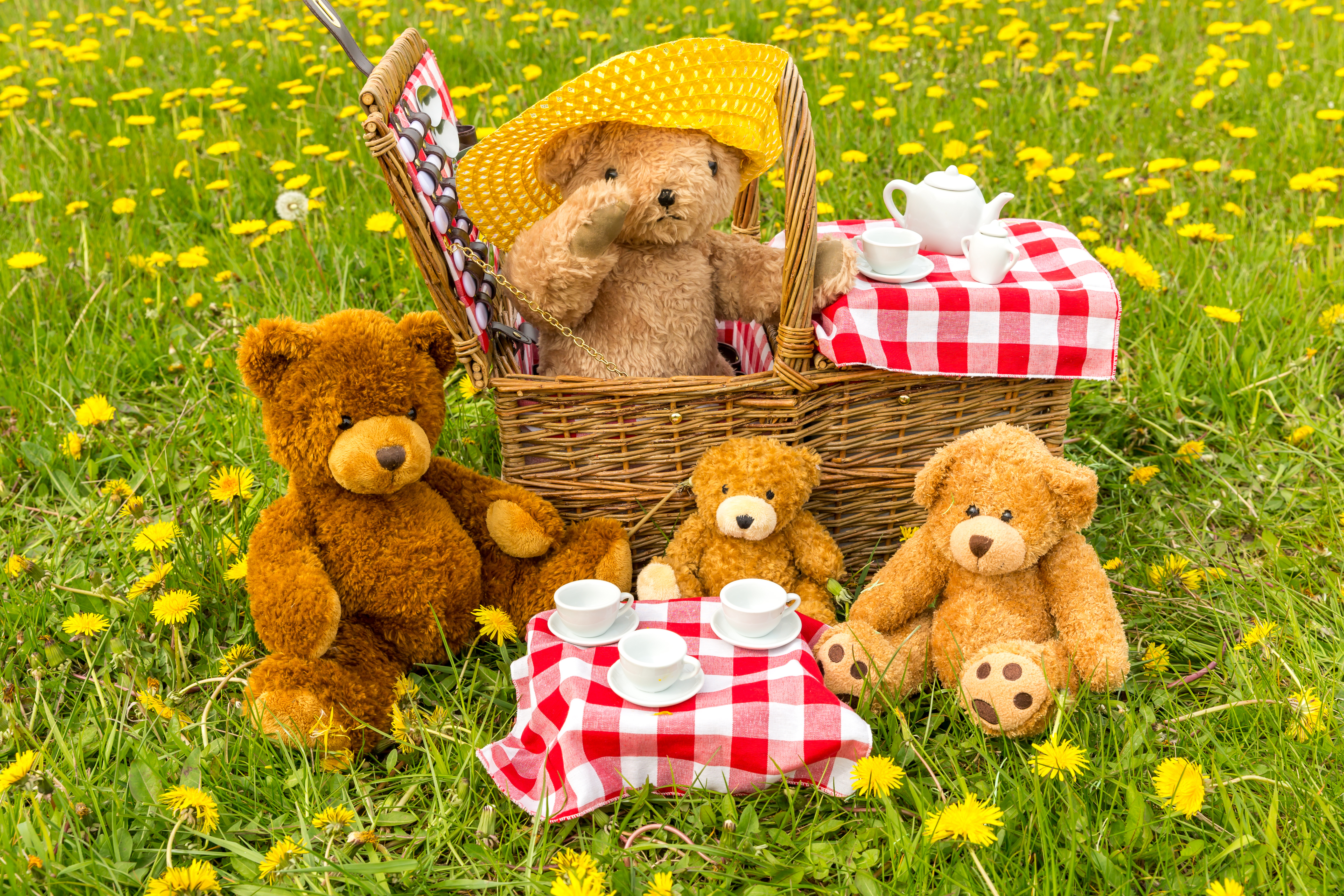 Teddies Adobestock 264278752