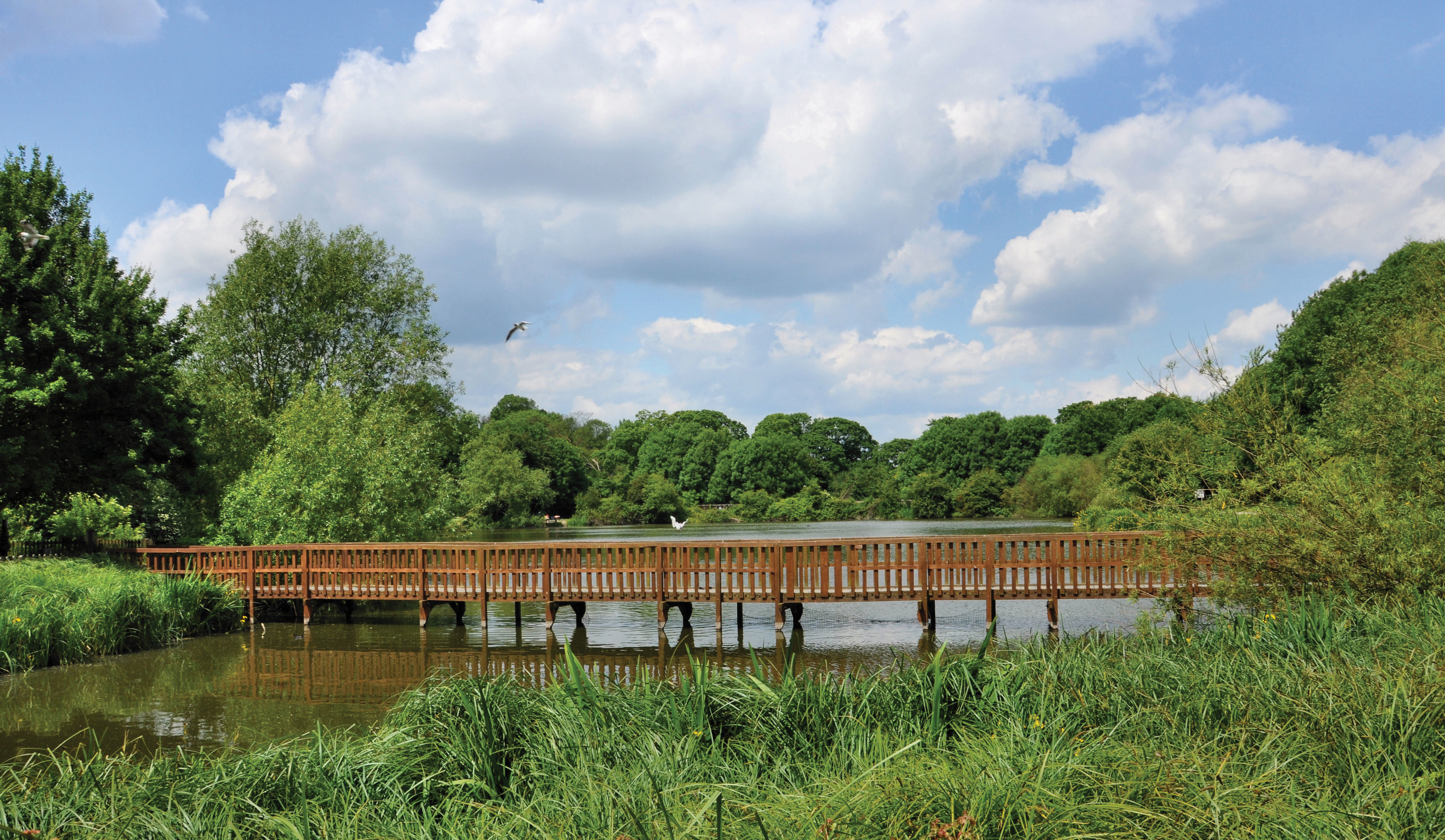 Capstone Farm Country Park