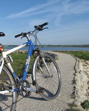 Riverside Bike (1)