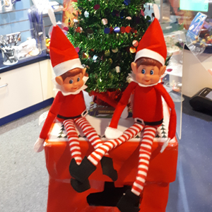 Elves