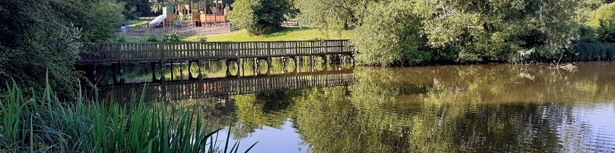 Capstone Banner Cover Photo 1