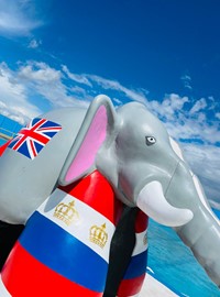 Strand Elephant (1)