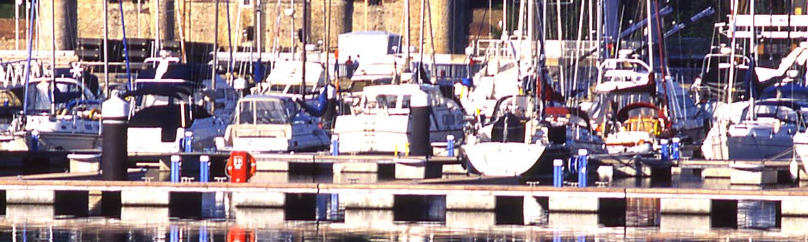 chat-maritime.jpg