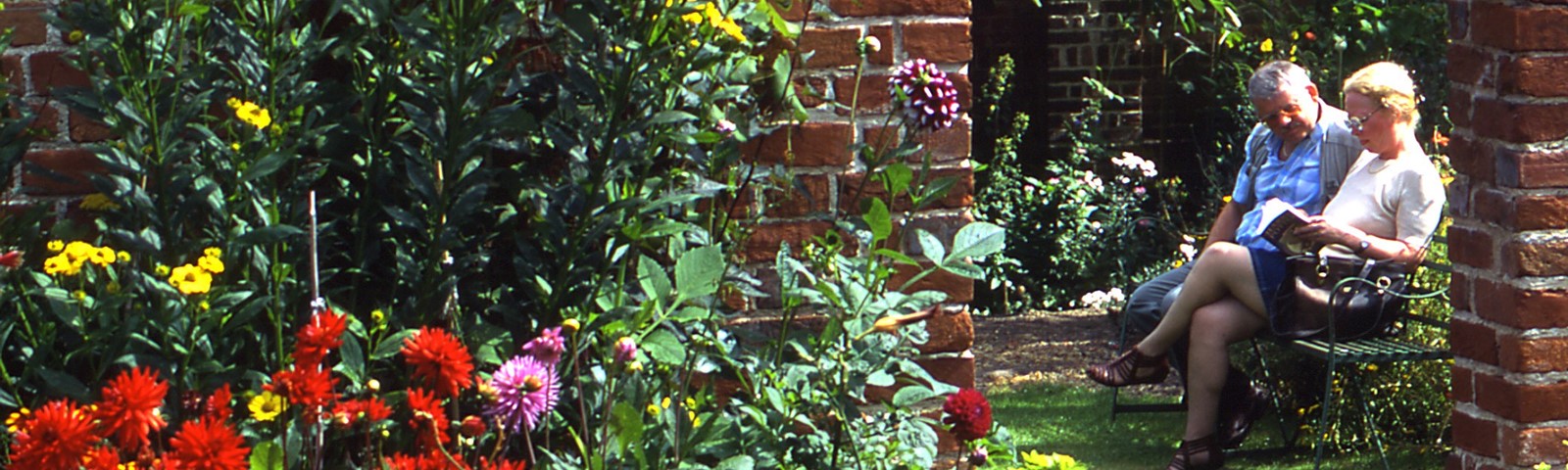 restorsation-hse-garden.jpg