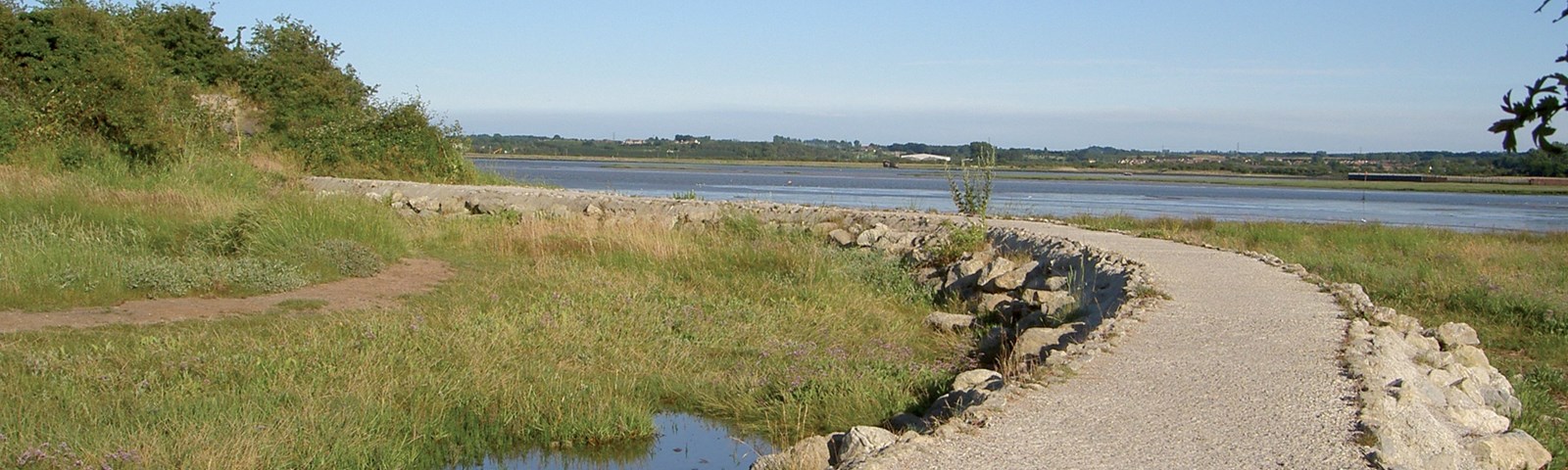 River path.jpg